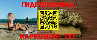 гидропоника Нягань